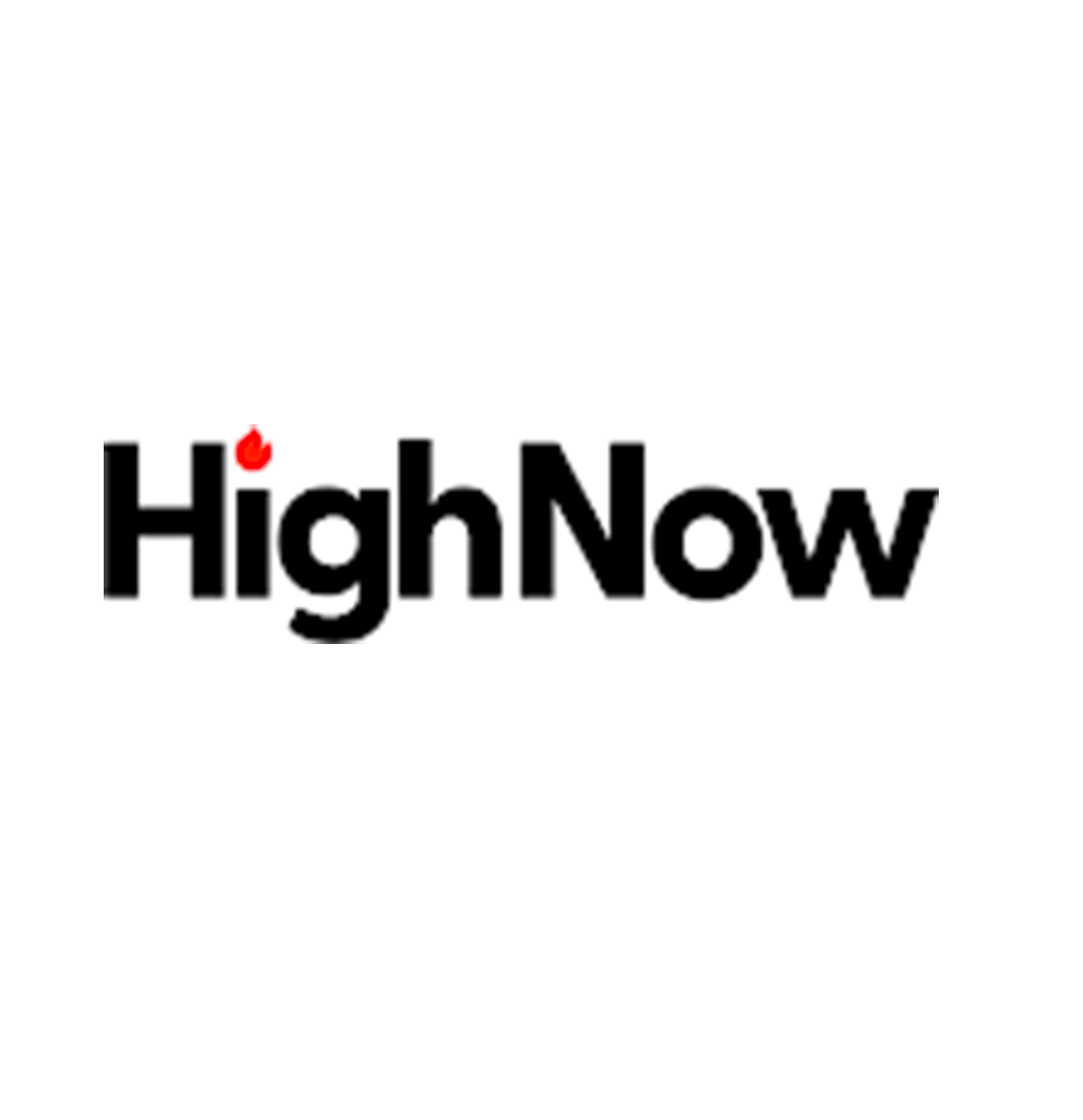 HighNowPartner Logo