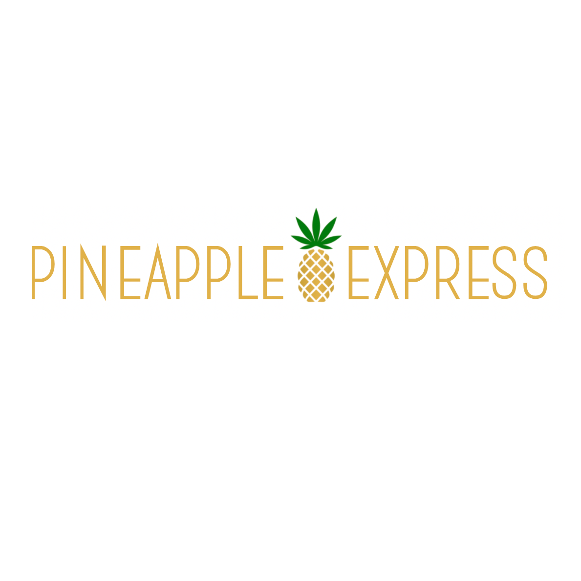 Pineapple ExpressPartner Logo